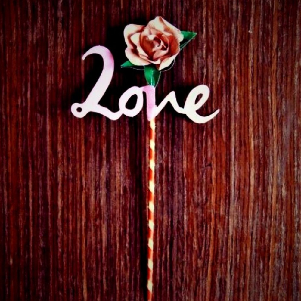 ETCETERA Fuscia Dress with LACE